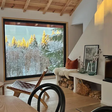 Forestia - Modern Cabin With Hot Tub And Sauna Dealu Negru Extérieur photo