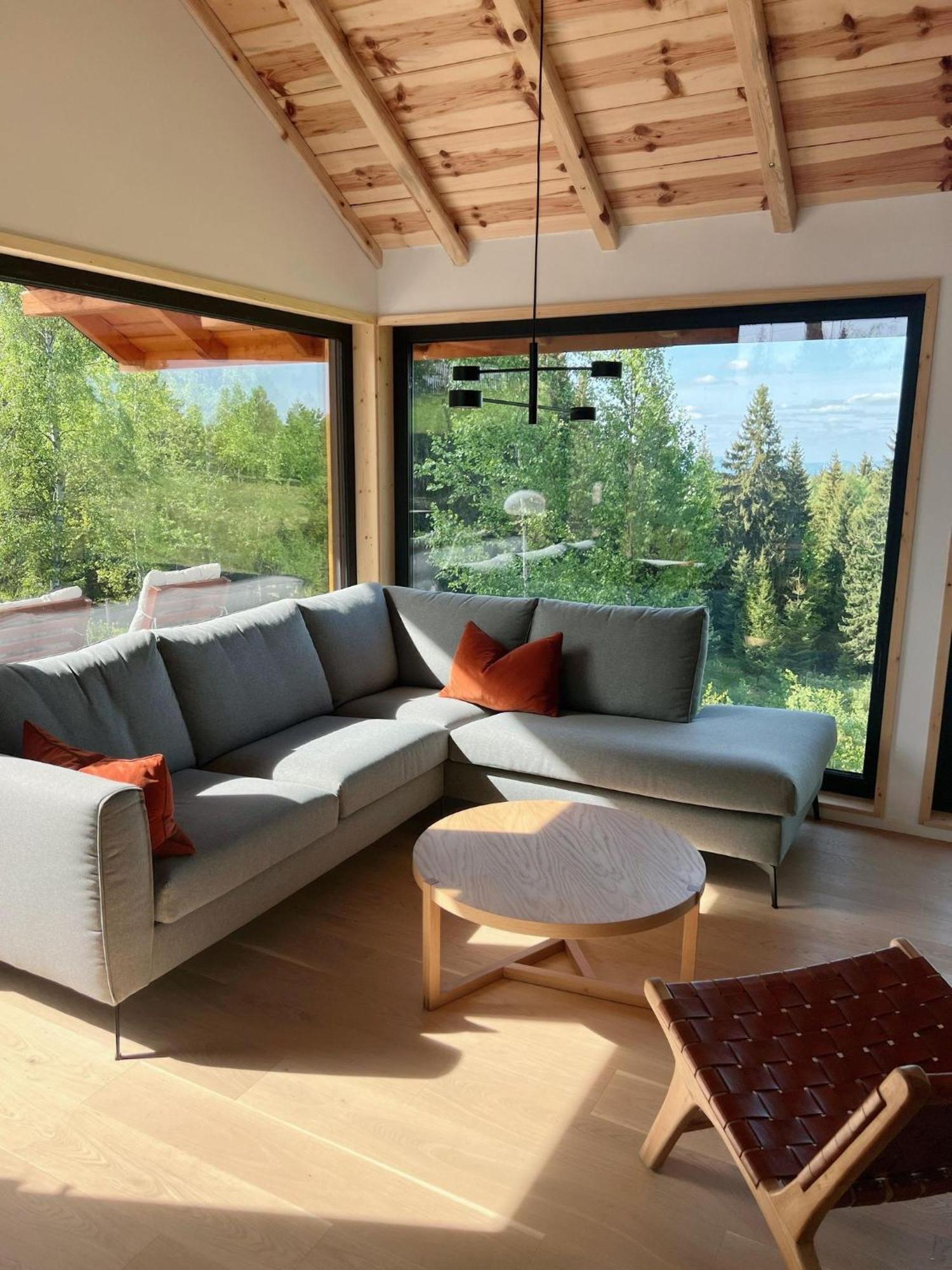Forestia - Modern With Hot Tub And Sauna Chalet Dealu Negru